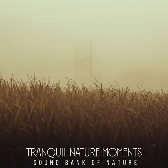 Tranquil Nature Moments by Sound Bank of Nature