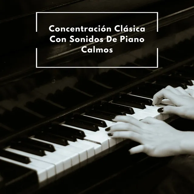 Concentración Clásica Con Sonidos De Piano Calmos