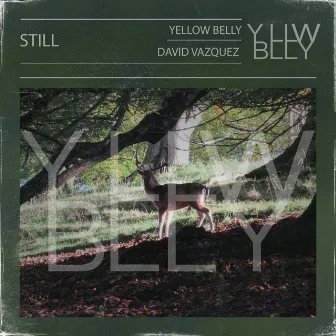 Still by Yellow Belly