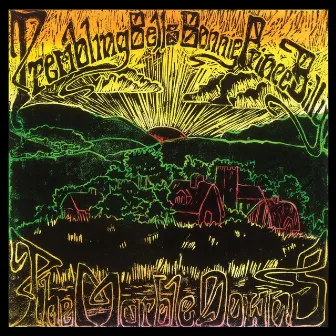 The Marble Downs by Trembling Bells