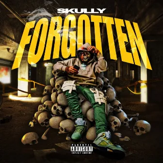 Forgotten by Skully