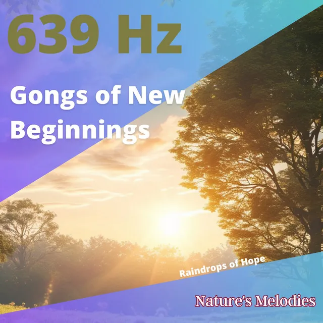 639 Hz Peaceful Gong Reflections