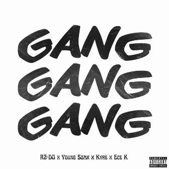 GANG GANG GANG by R2-DO