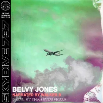 Skydive 737 by Belvy Jones