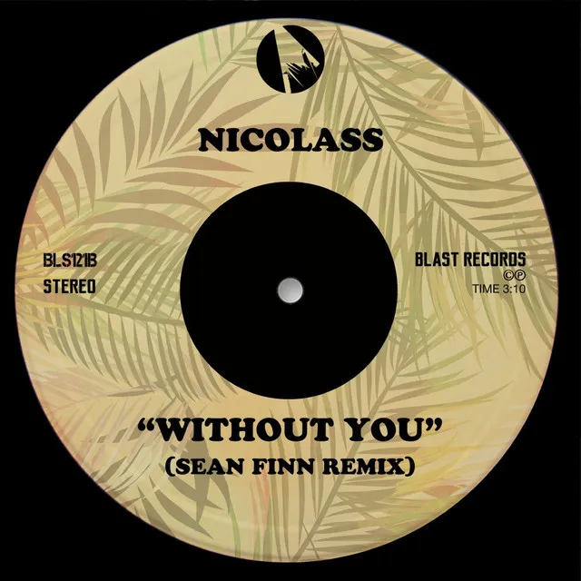 Without You - Sean Finn Remix