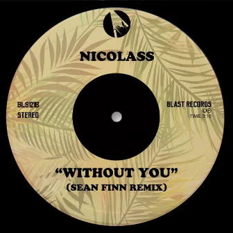 Without You (Sean Finn Remix) by Nicolass