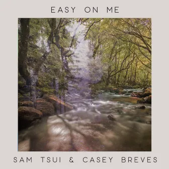 Easy On Me (Piano Acoustic) by Casey Breves