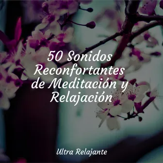 50 Sonidos Reconfortantes de Meditación y Relajación by Relajar