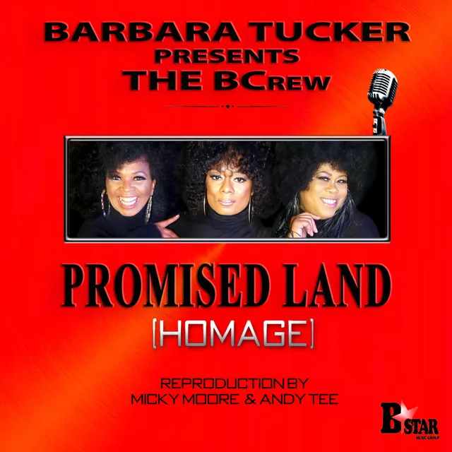 Promised Land (Homage) - Micky More & Andy Tee Club Mix