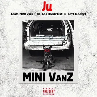 Mini Vanz by Ju