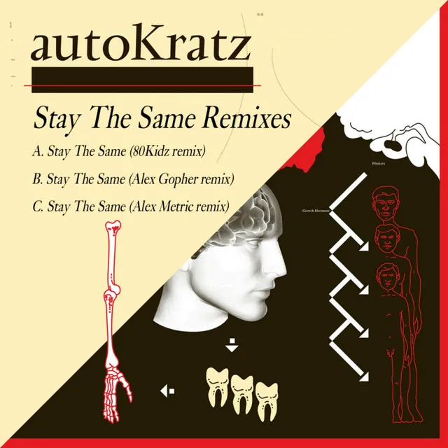 Stay the Same - Alex Gopher Remix