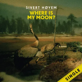 Where Is My Moon? by Sivert Høyem