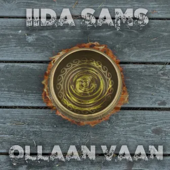 Ollaan vaan by Iida Sams