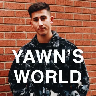 Yawn's World by Yawn & Yung $ham