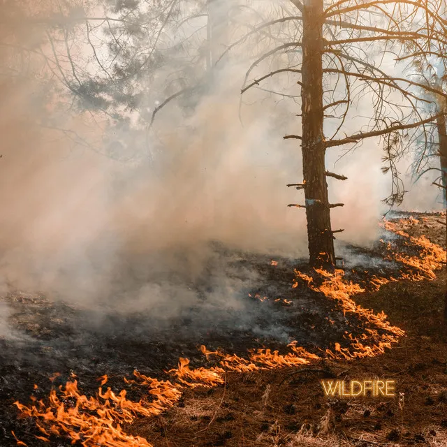 Crown Fire, Pine & Sagebrush, Wildfire Model