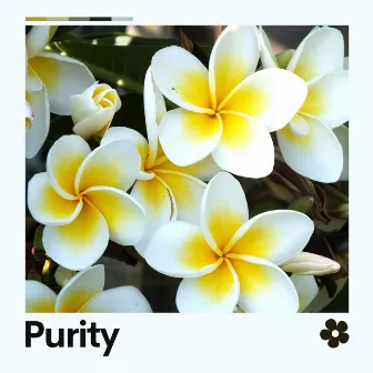 Purity by White Noise Android