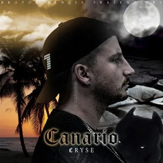 Canario by Cryse