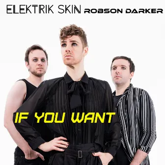 If You Want by Elektrik Skin