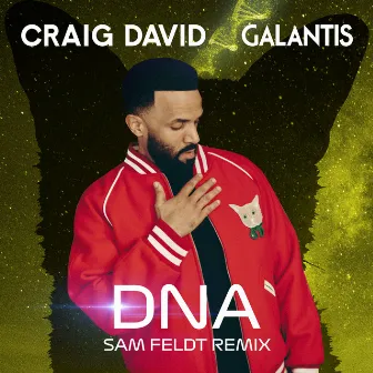 DNA (Sam Feldt Remix) by Craig David