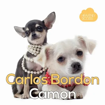 Camon by Carlos Bordon