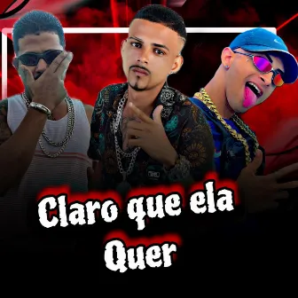 Claro Que Ela Quer by Lucas ZM