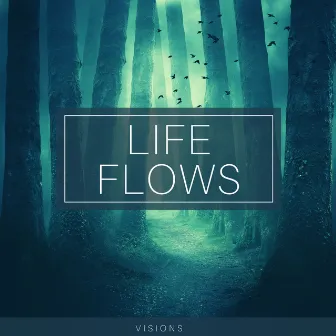 Visions by Life Flows