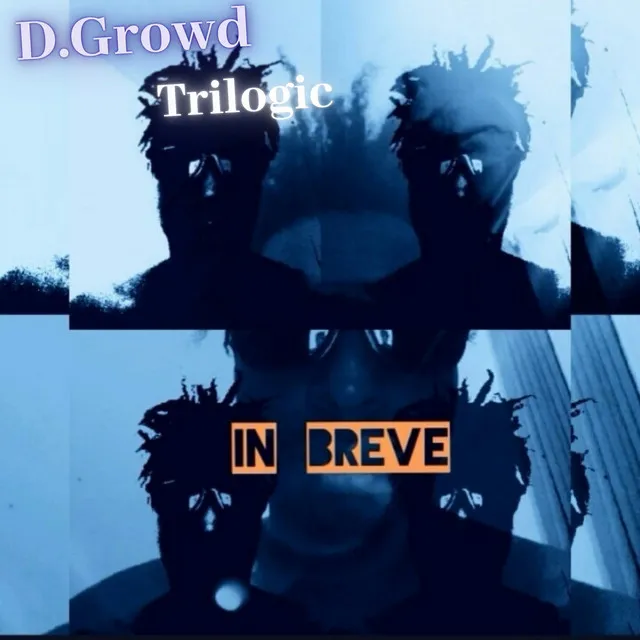 Dgrowd Trilogic In Breve