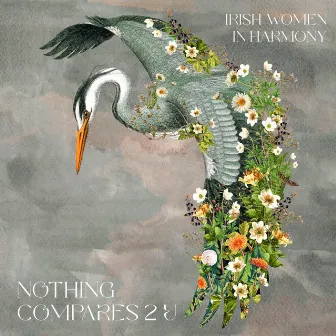 Nothing Compares 2 U by Irish Women In Harmony