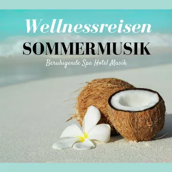 Wellnessreisen Sommermusik - Beruhigende Spa Hotel Musik, Wellness Tiefenentspannungsmusik für Schönheitssalons und Sauna by Unknown Artist