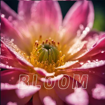 Bloom by Nature Heals