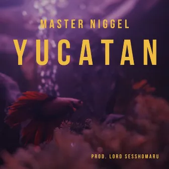 Yucatan by Master Niggel