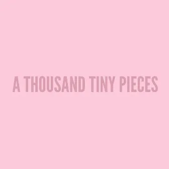 A Thousand Tiny Pieces (Revisited) by Sean Hayes