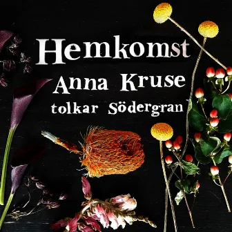 Hemkomst by Anna Kruse