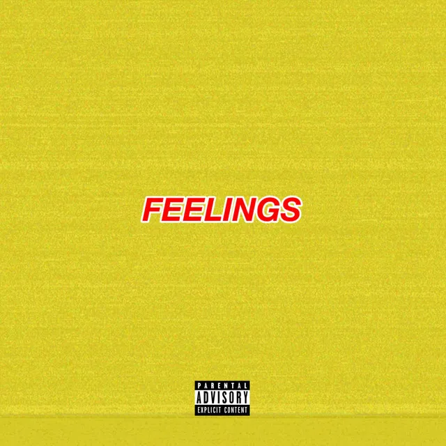 Feelings