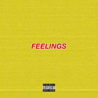 Feelings by Verge