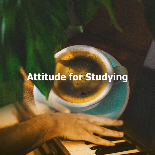 Attitude for Studying