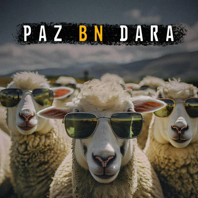 Paz Bn Dara