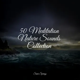 50 Meditation Nature Sounds Collection by Rising Higher Meditation