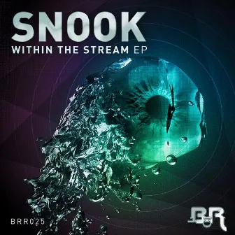 Within The Stream EP by Snook