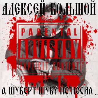 А Шуберт шубу не носил by Unknown Artist