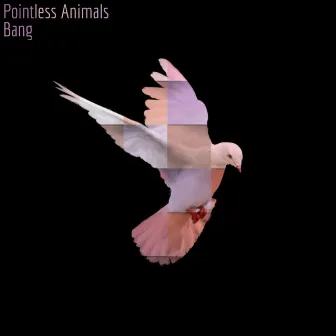 Bang by Pointless Animals