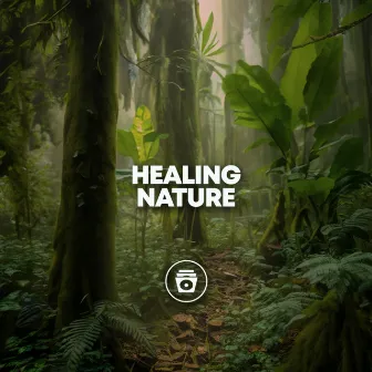 Healing Nature by Rain Sounds Collection