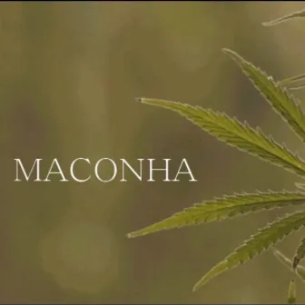 Maconha by El Socio Carlos