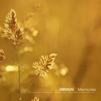 Memories by DRMGN