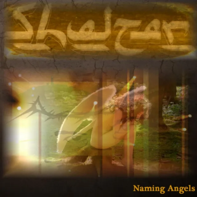 Naming Angels