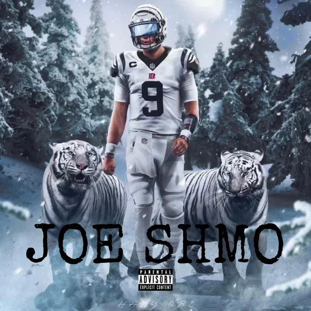 Joe Shmo