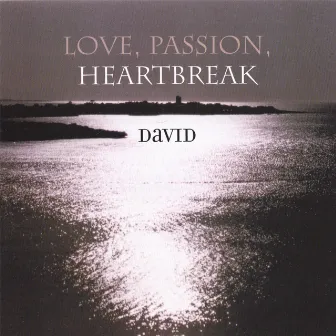 Love Passion Heartbreak by David