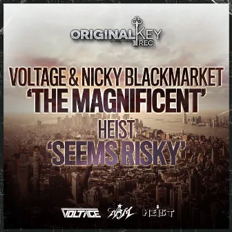 The Magnificent/ Seems Risky by Nicky Blackmarket