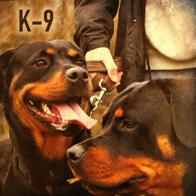 K-9