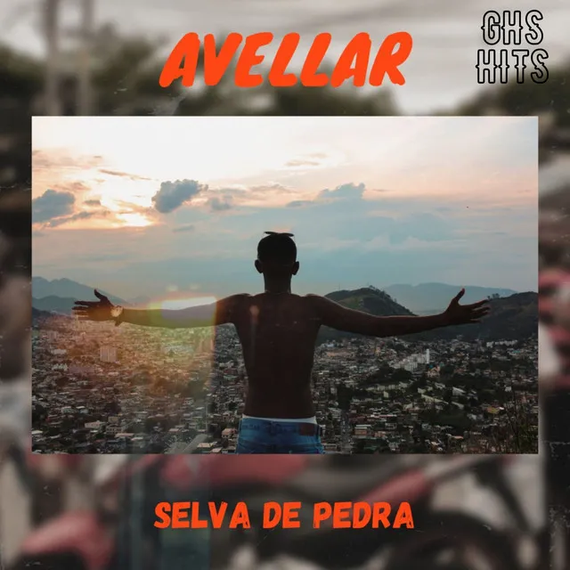 Selva de Pedra